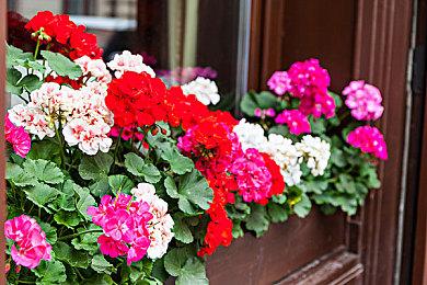 《重返寂静岭》电影将忠实改编《寂静岭2》原版游戏